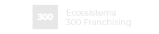Logo 300 franchising